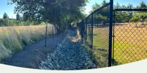 What Is a Swale? Here's Why You May Need One