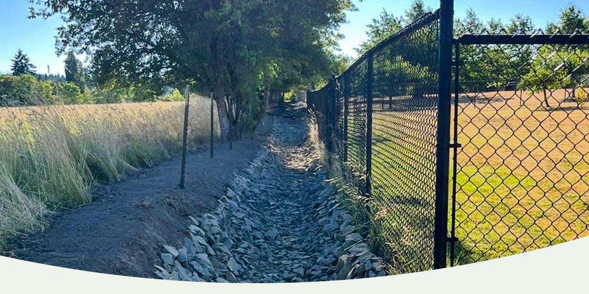 What Is a Swale? Here's Why You May Need One