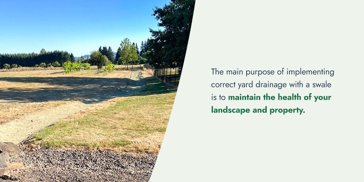 Why You May Need a Swale